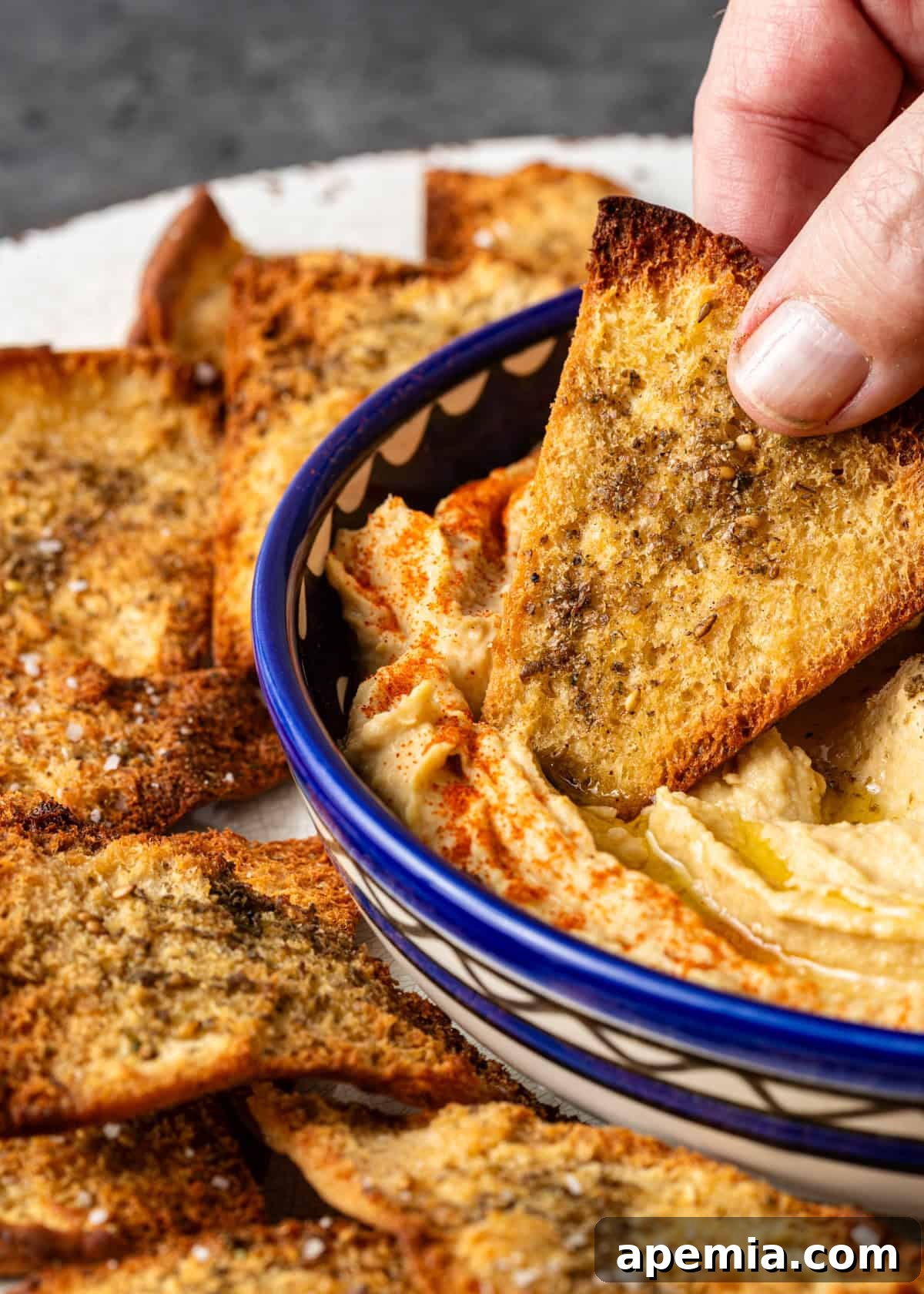 closeup: dipping a pita chip into hummus