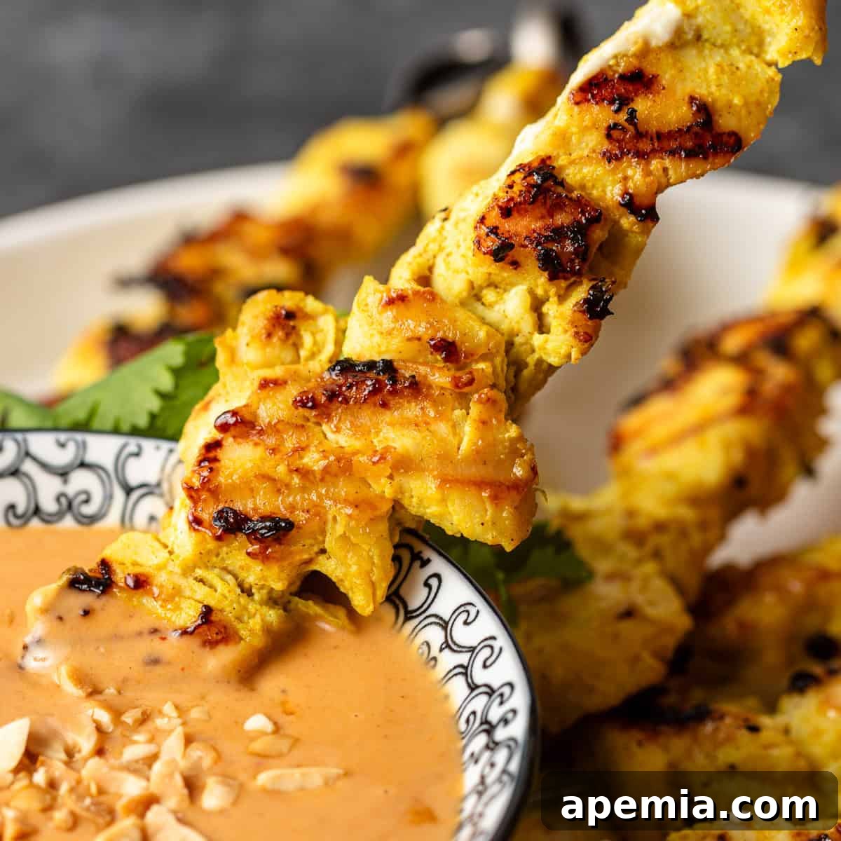 Side view of a chicken satay skewer being dipped into creamy Thai peanut sauce, showcasing the rich color and tender texture of the grilled chicken.
