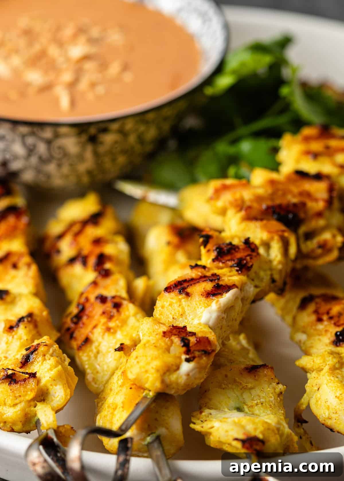 Closeup shot of several golden-brown chicken satay skewers arranged neatly next to a small bowl of creamy Thai peanut dipping sauce, garnished with fresh cilantro.