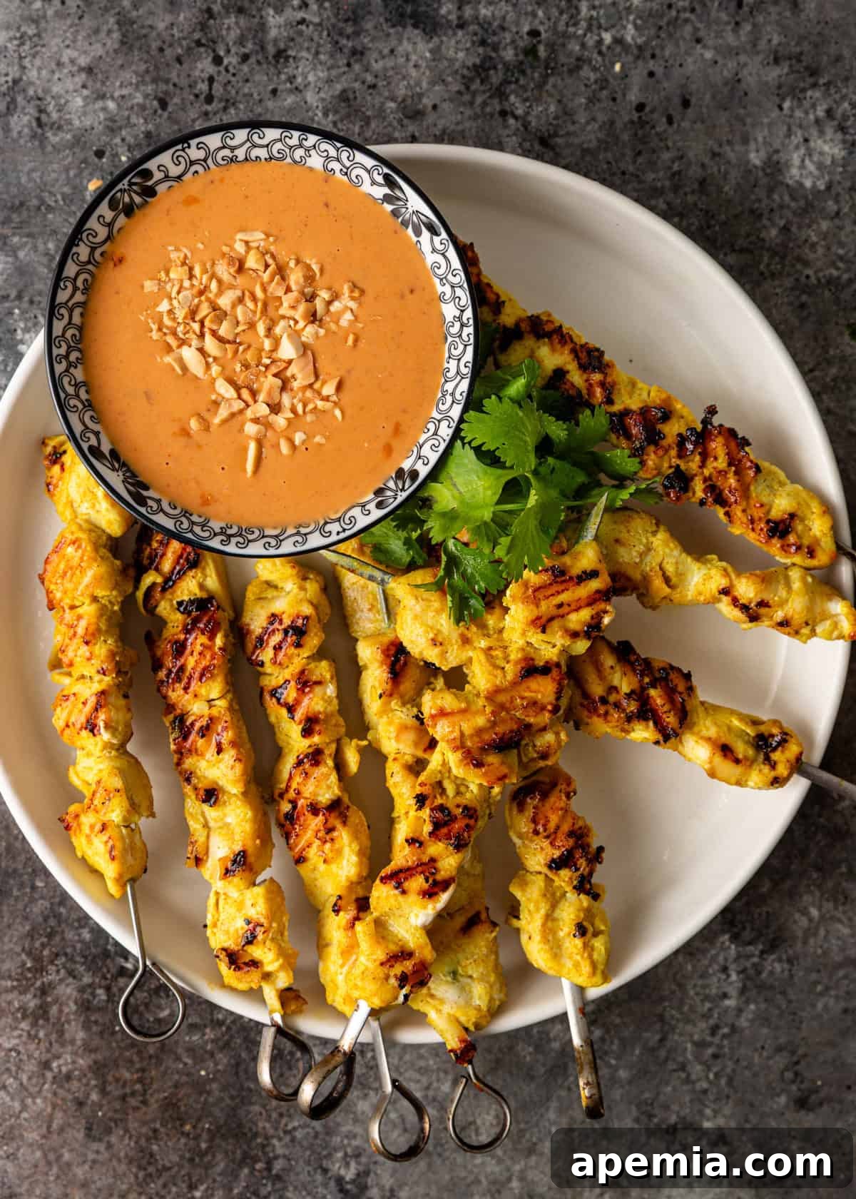 Overhead view of several perfectly grilled chicken satay skewers arranged on a white serving plate, accompanied by a small bowl of creamy Thai peanut sauce for dipping.