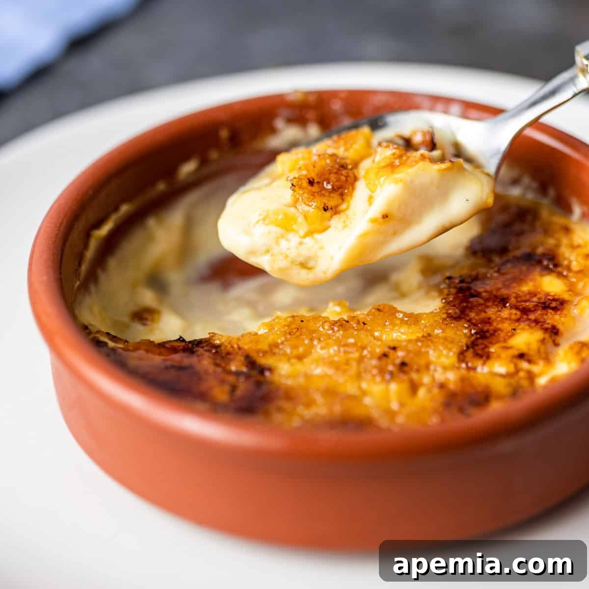 closeup: a spoonful of crema catalana 