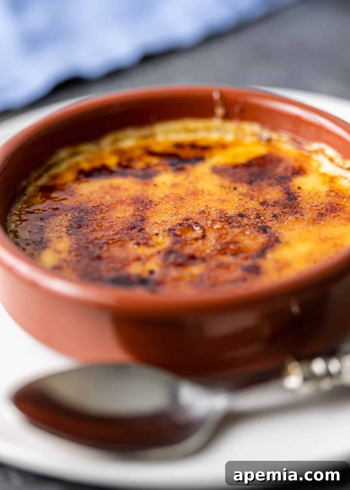 closeup: Spanish custard with caramelized topping