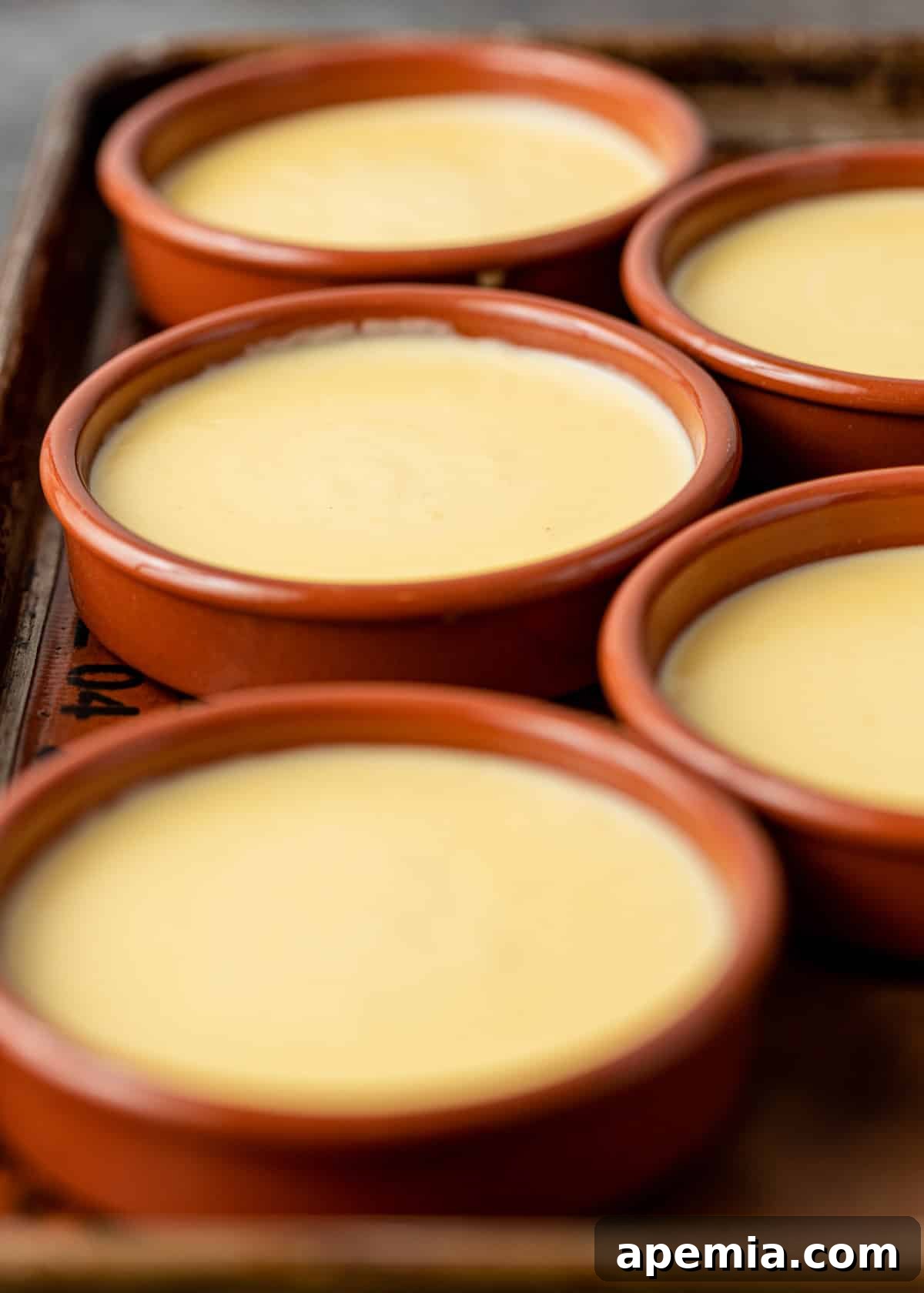 closeup: catalana irons full of spanish custard before baking