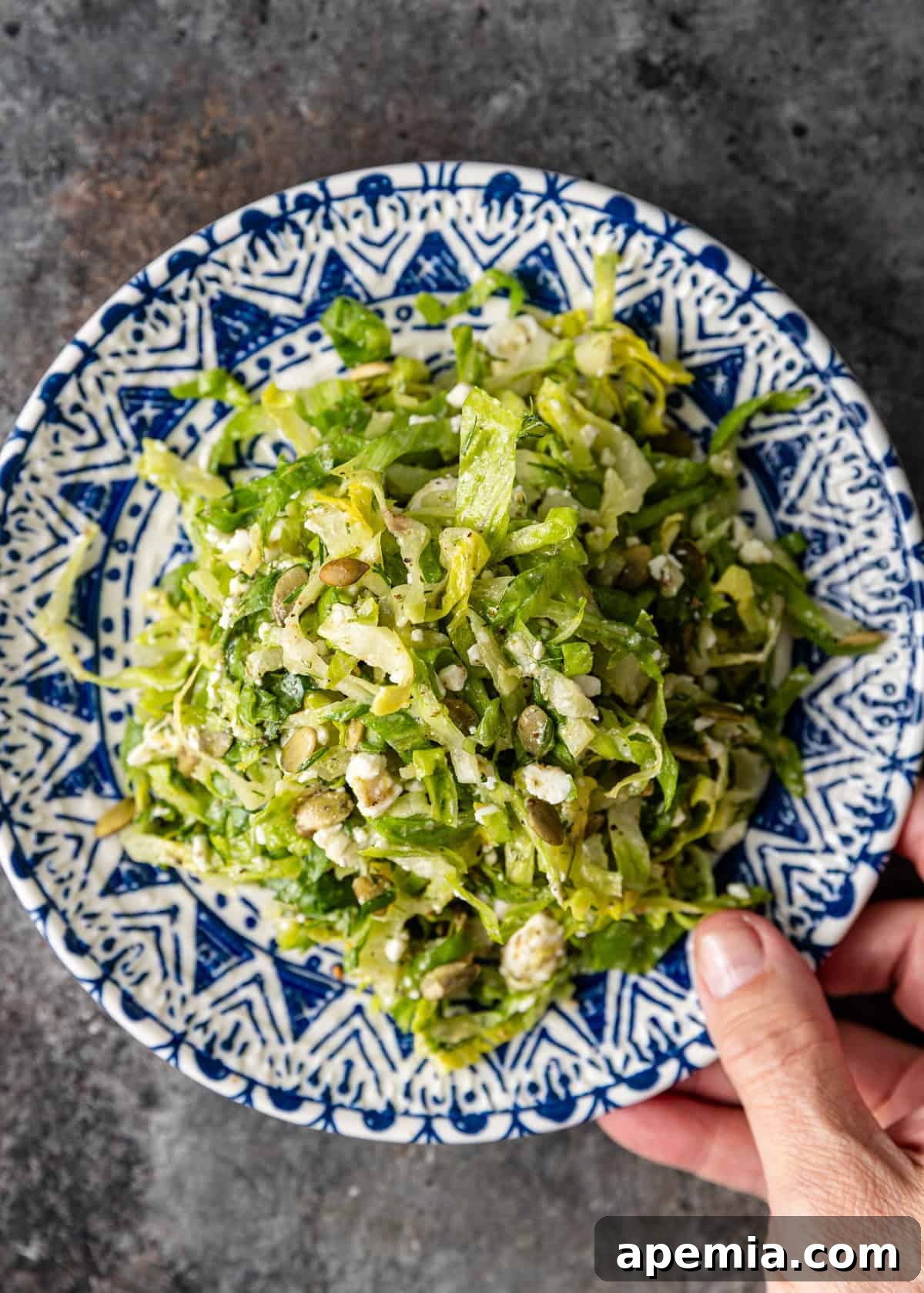 Mediterranean Feta Dill Salad 6 overhead: a hand holding a serving of my maroulosalata recipe on a blue and white plate