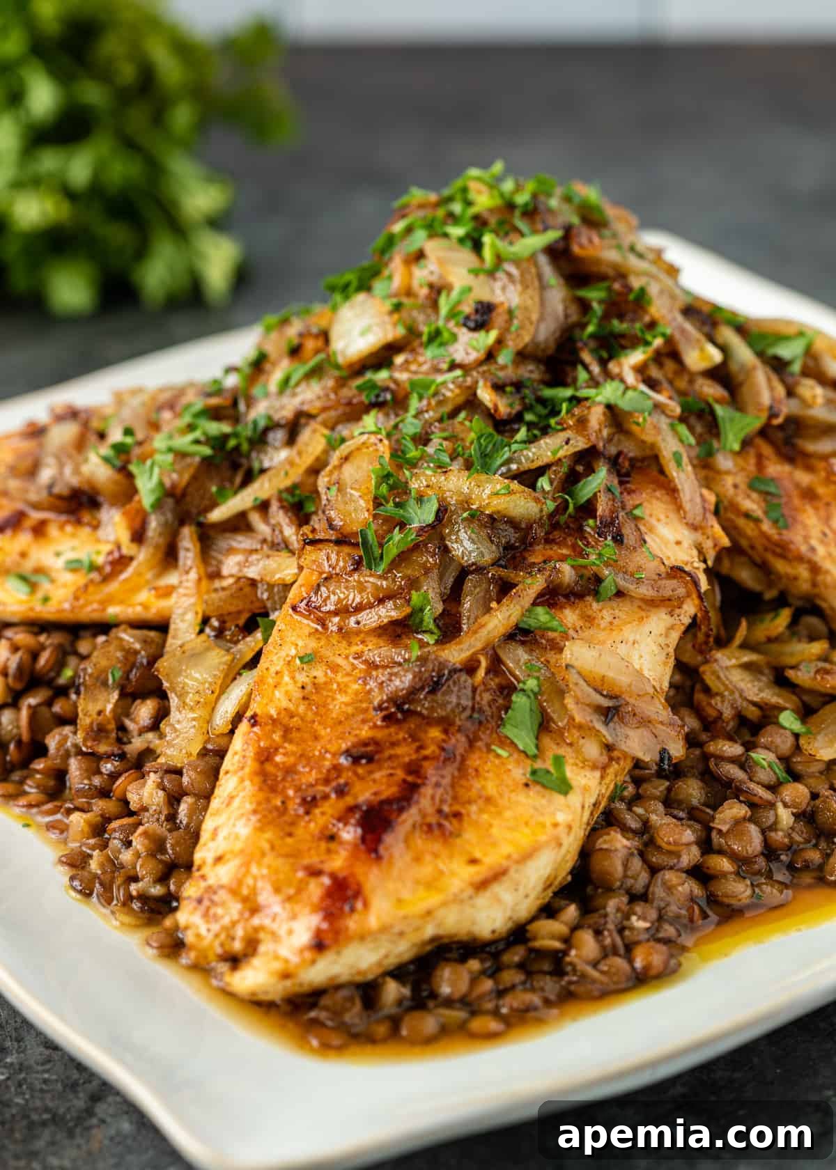 Ethiopian Berbere Chicken and Lentil Stew 4 Chicken and lentils with garnish of chopped parsley and sautéed onion