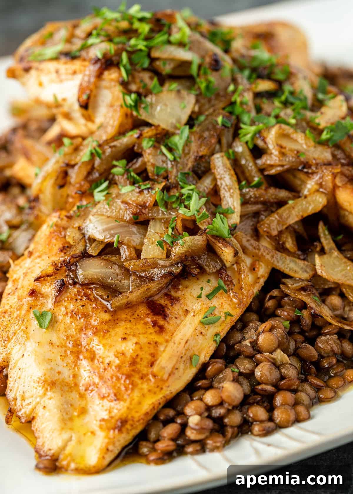 Ethiopian Berbere Chicken and Lentil Stew 5 Berbere Chicken and Lentils on a white plate, ready to be enjoyed