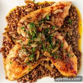 Overhead: Berbere Chicken and Lentils