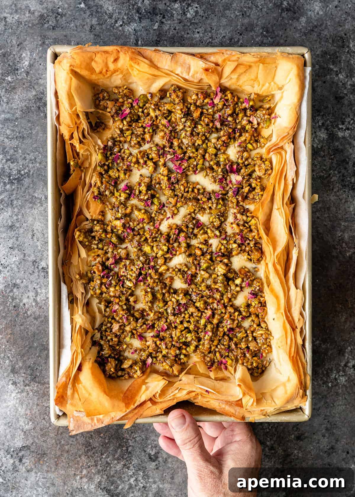 overhead: hand holding baked baklava cheesecake in pan on top of counter