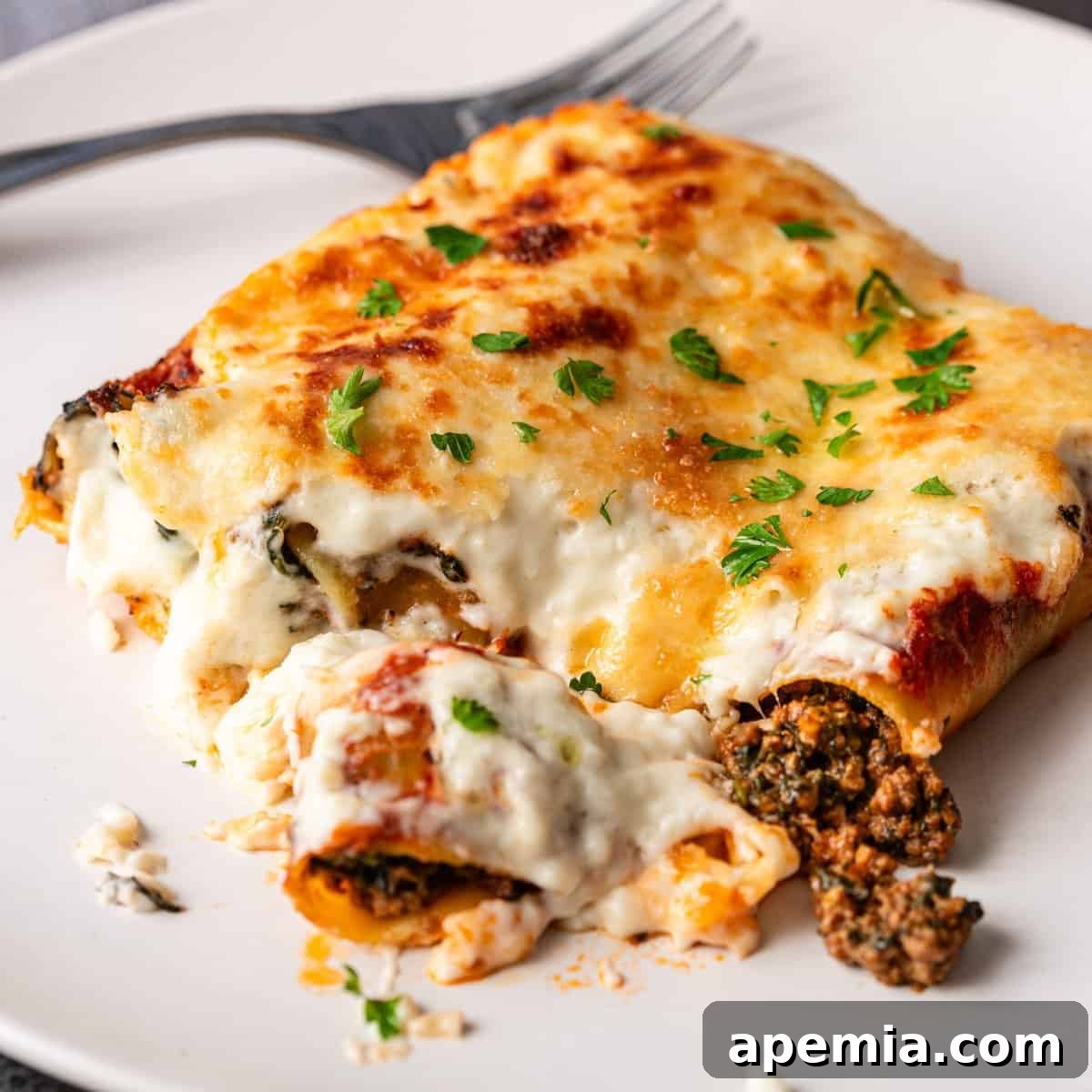 closeup: slice of cannelloni on white plate