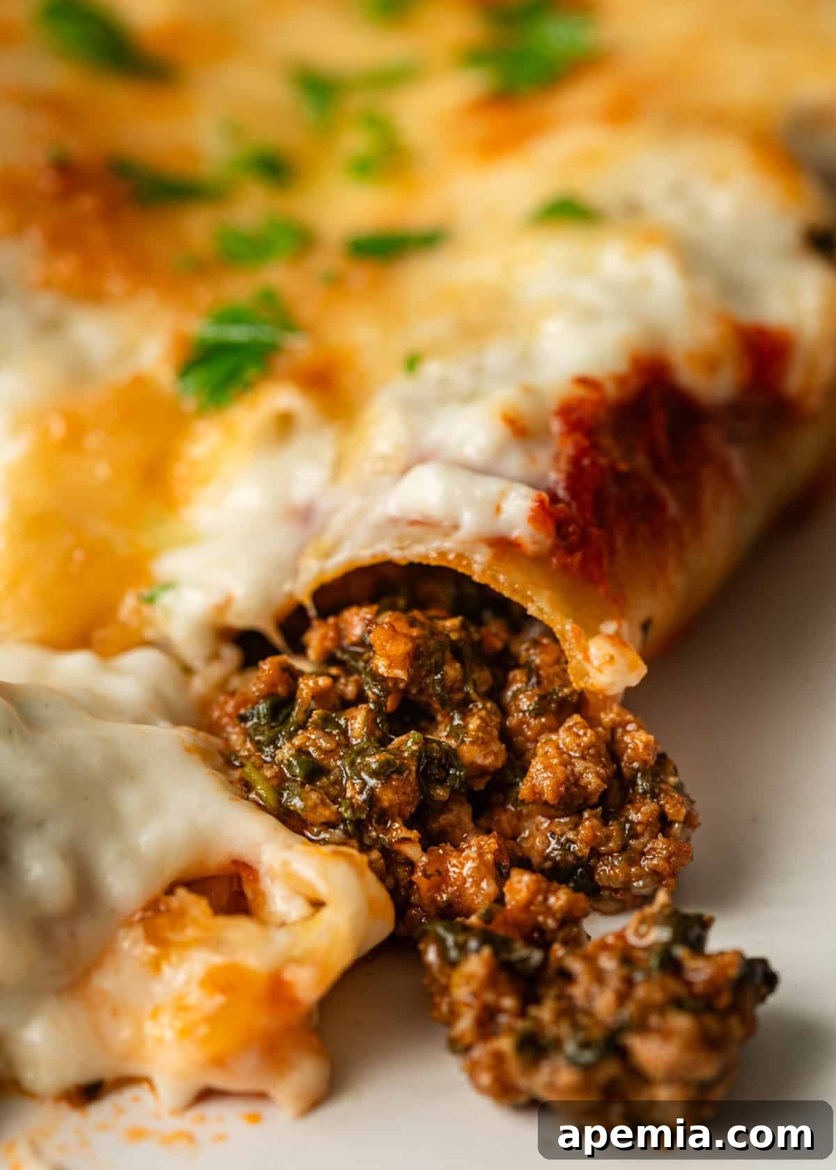 closeup: beef cannelloni on white plate