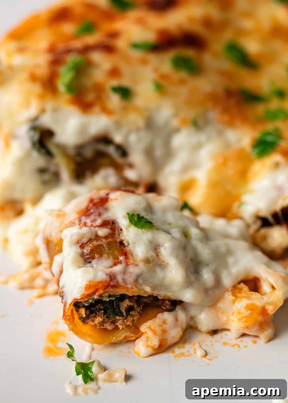 closeup: beef cannelloni on white plate