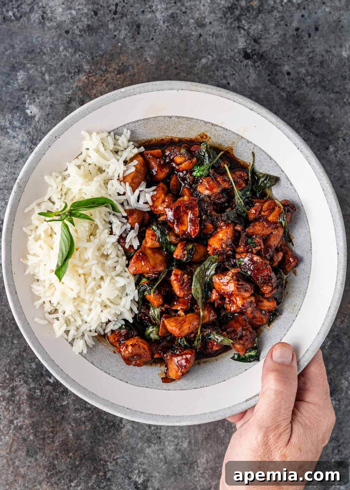 A hand presenting a white plate filled with freshly cooked Thai Basil Chicken and a side of steamed white rice, ready to eat.