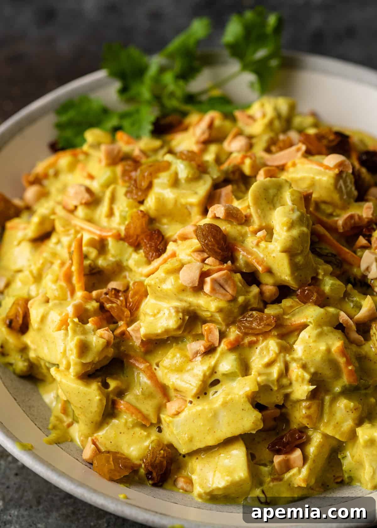 Closeup overhead view of chicken peanut curry on a plate, garnished with fresh cilantro, ready to be served and savored.