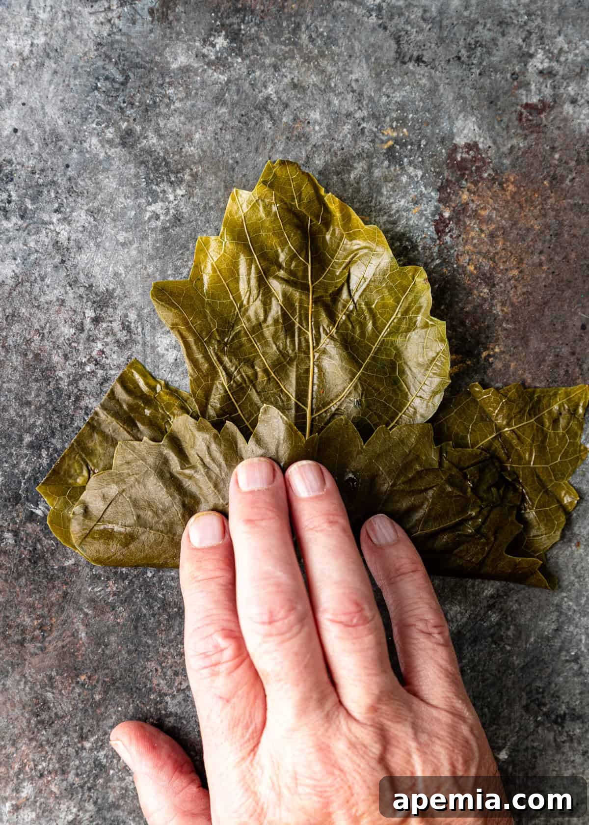 overhead process shot: hand folding leaf on counter