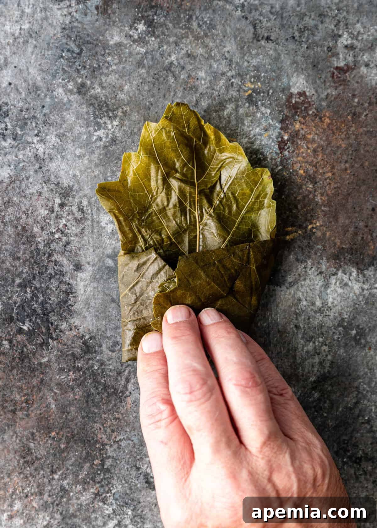 overhead process shot: hand folding leaf on counter