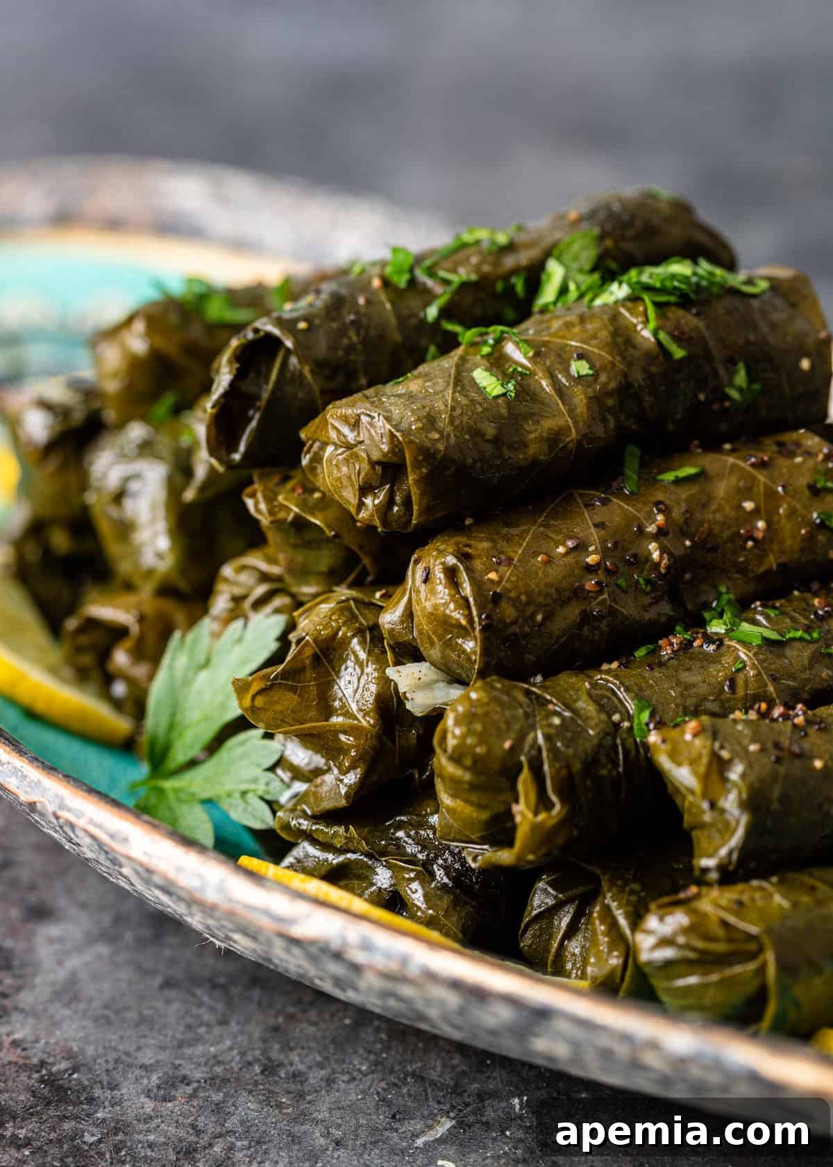 overhead: ready to serve stack of dolmas on serving dish