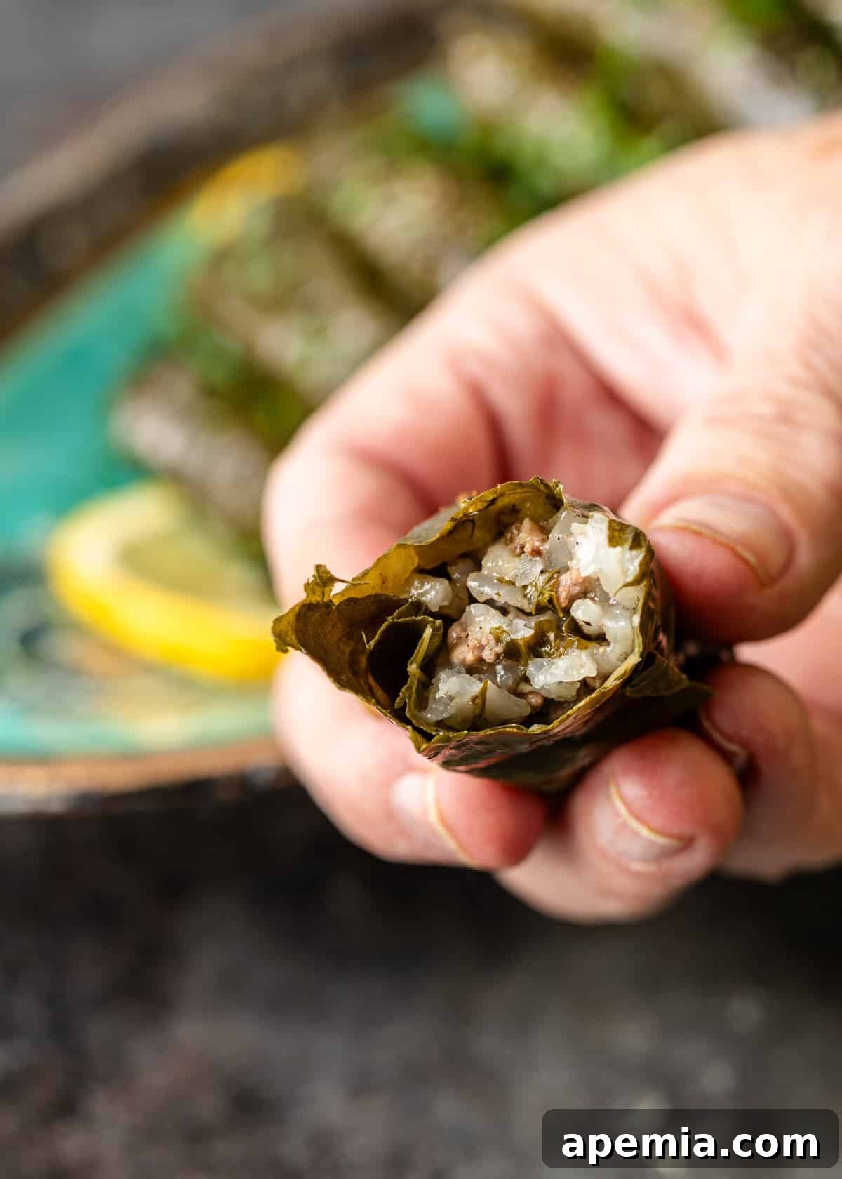 closeup side view: hand holding half eaten dolmades