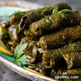 Stuffed Grape Leaves (Dolmades)