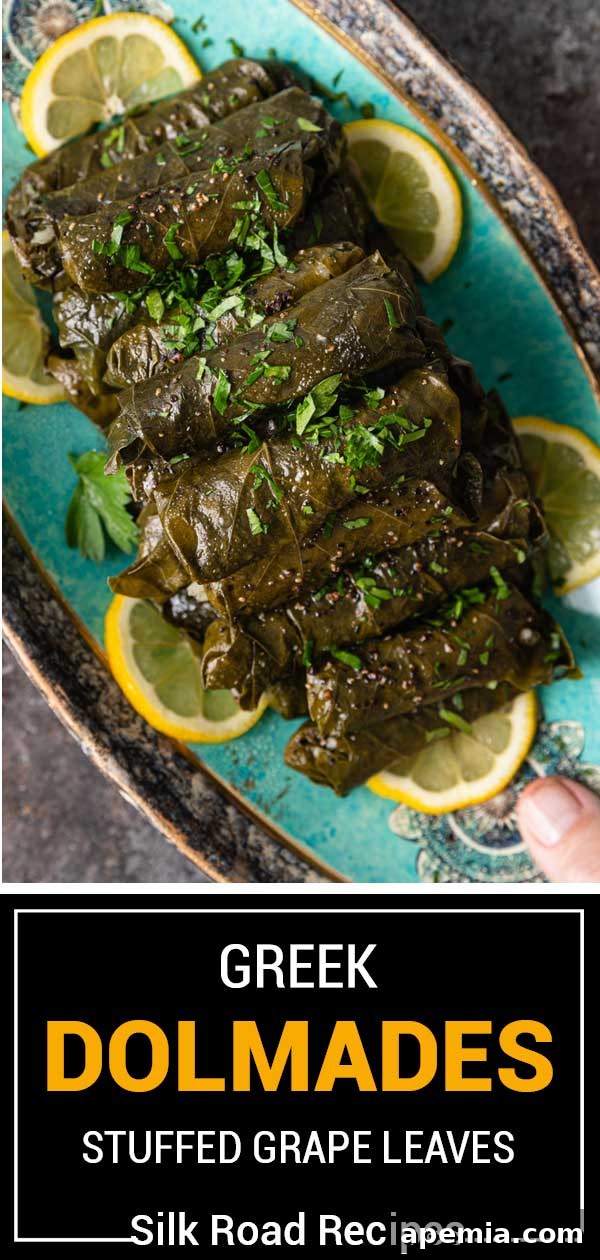 titled image (and shown) greek dolmades stuffed grape leaves