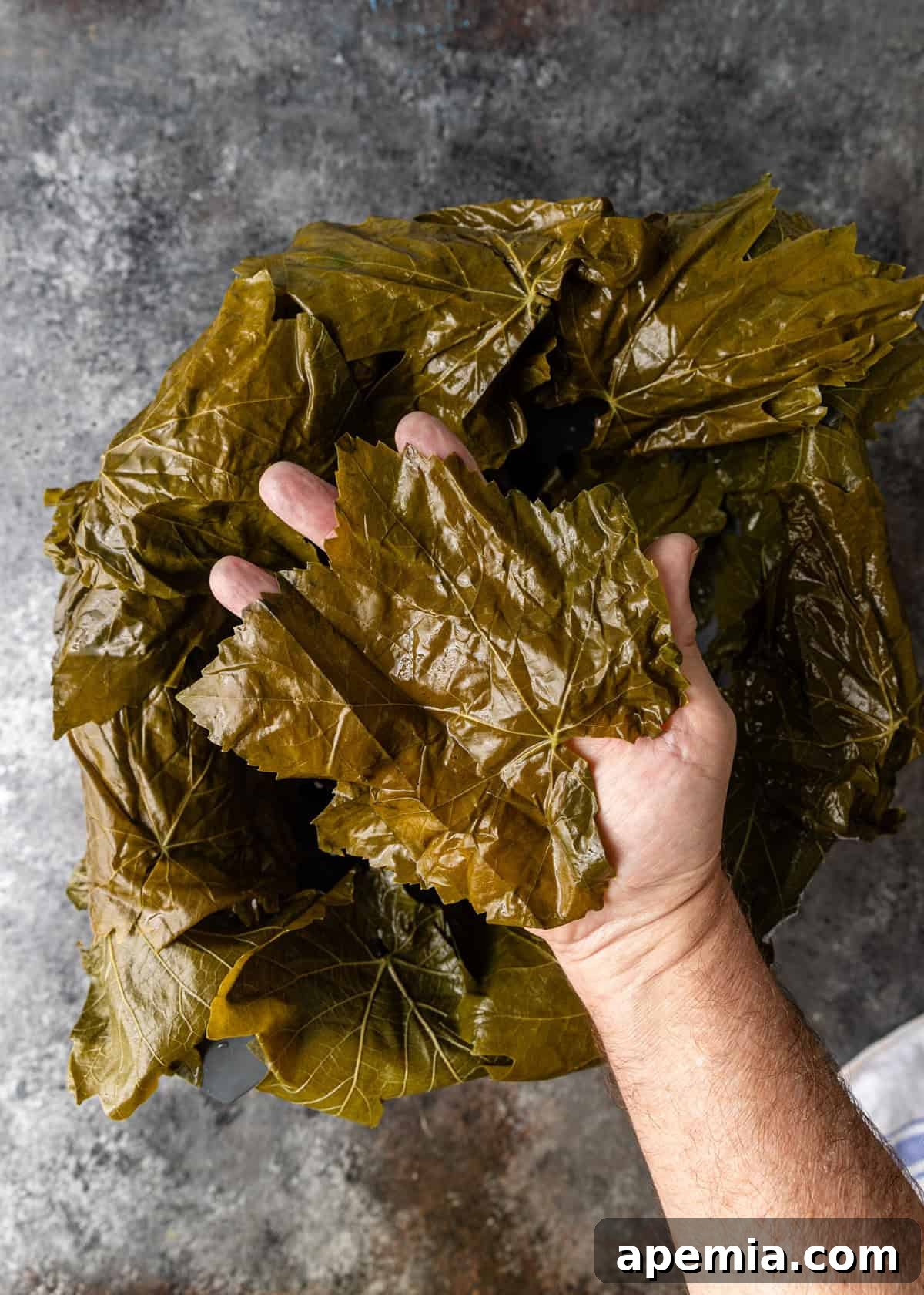overhead process shot: hand holding grape leaf