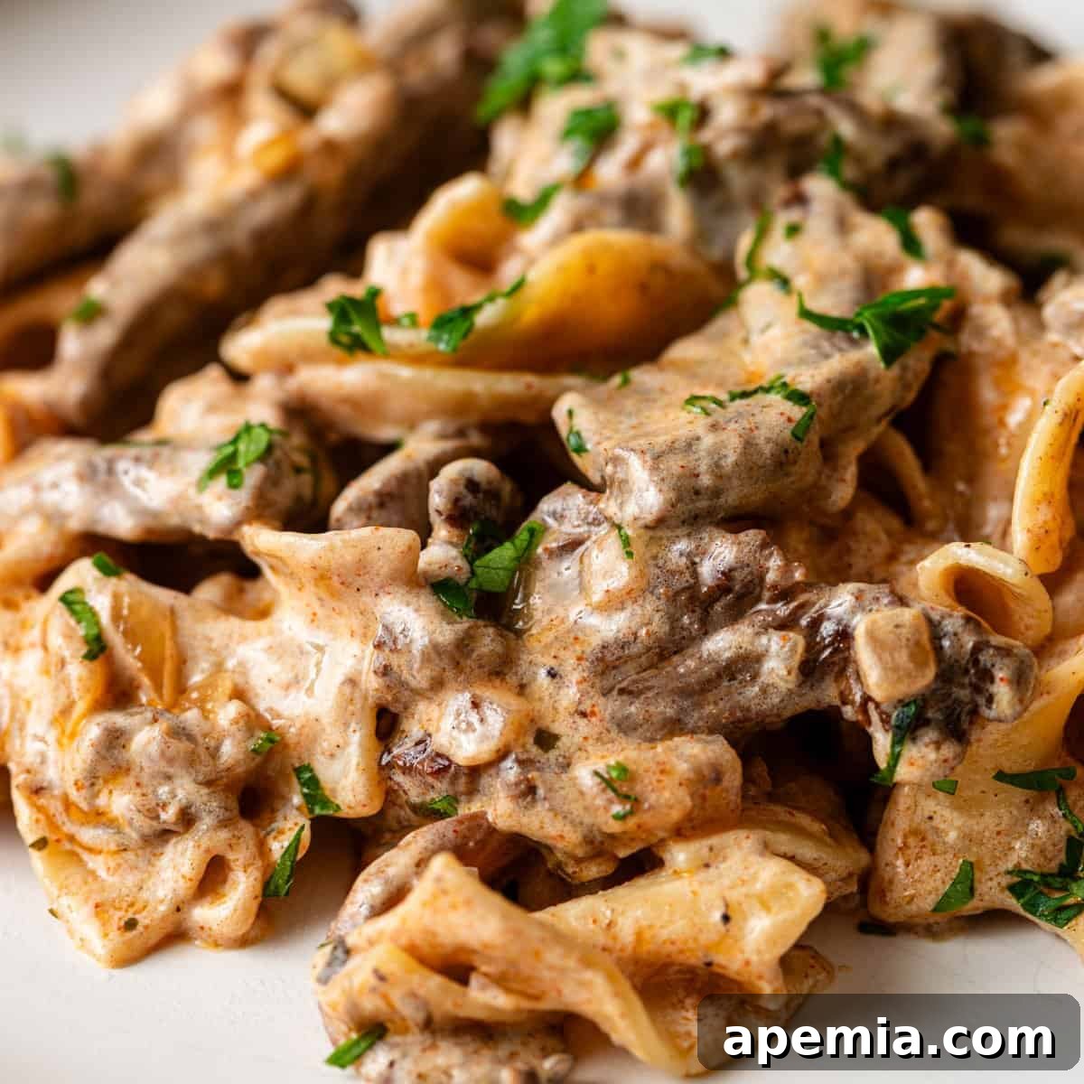 closeup: beef stroganoff on white plate