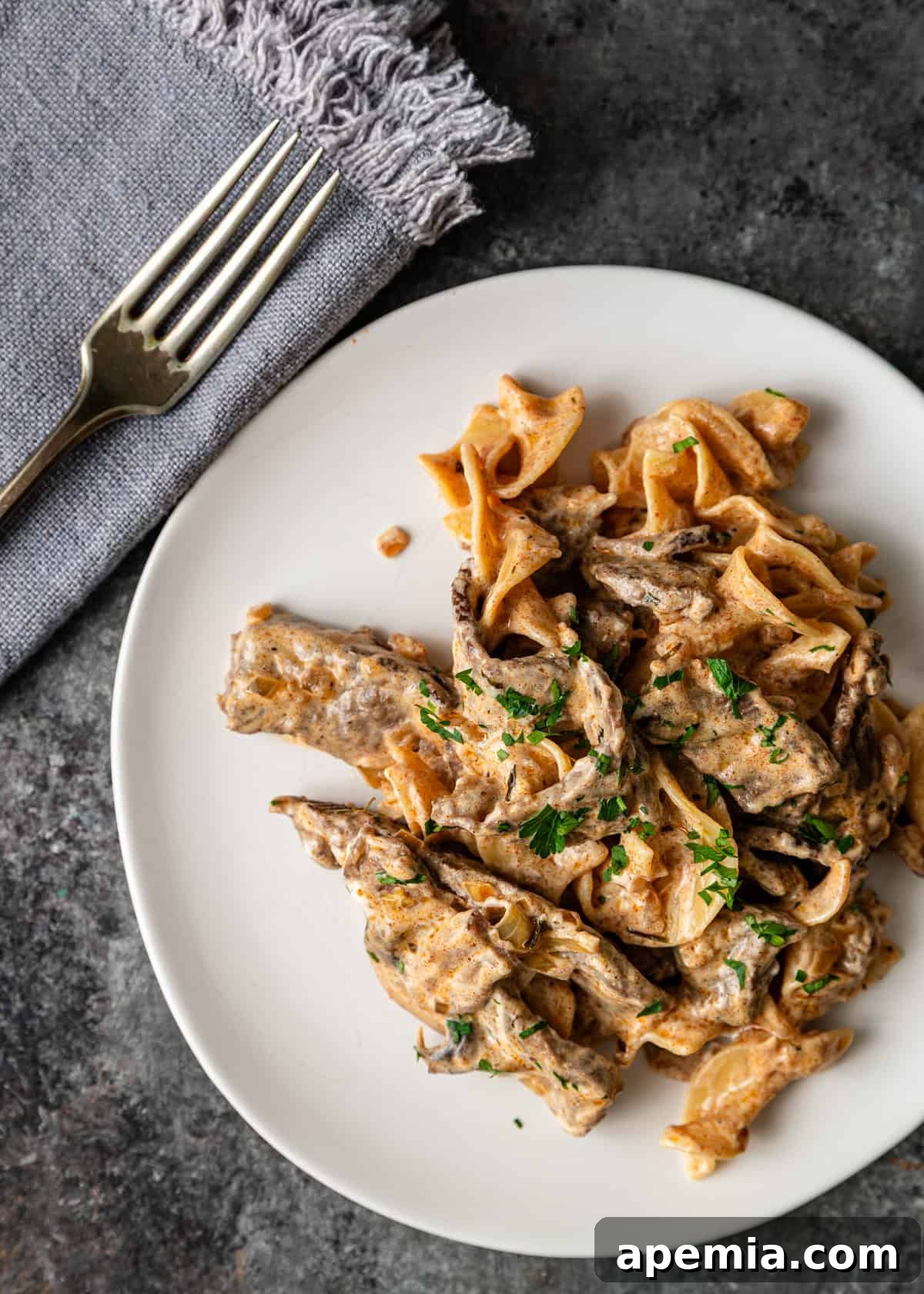 overhead: beef stroganoff on white plate