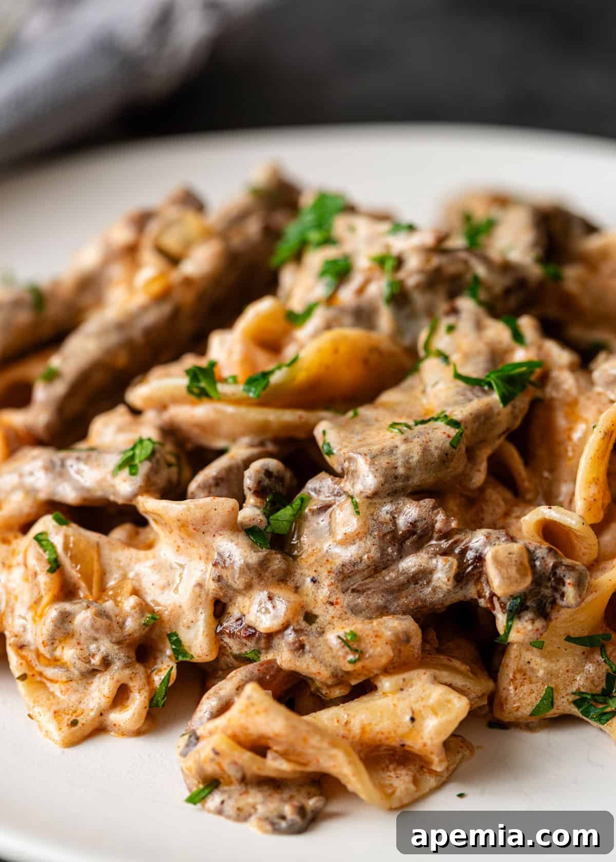 closeup side view: ready to eat beef stroganoff on white plate