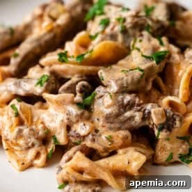 Beef Stroganoff on white plate