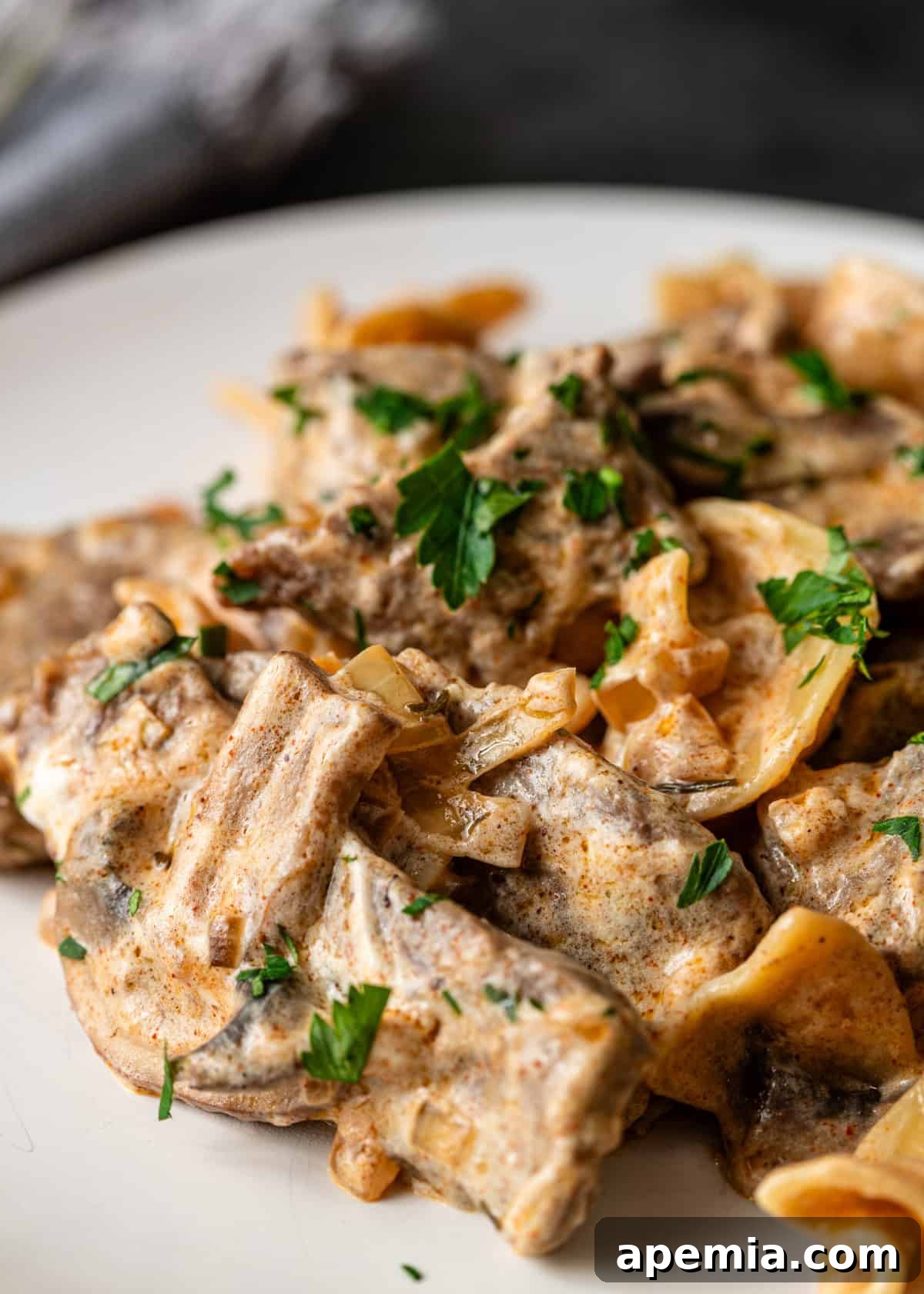 closeup: ready to serve beef stroganoff on white plate