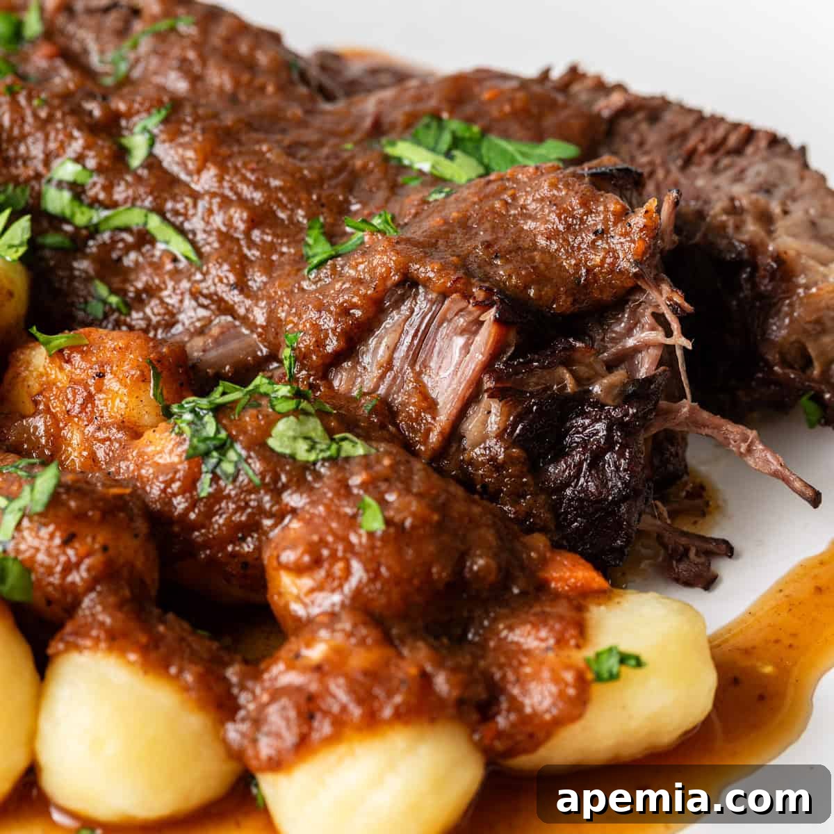 closeup side view: croatian beef stew on white plate