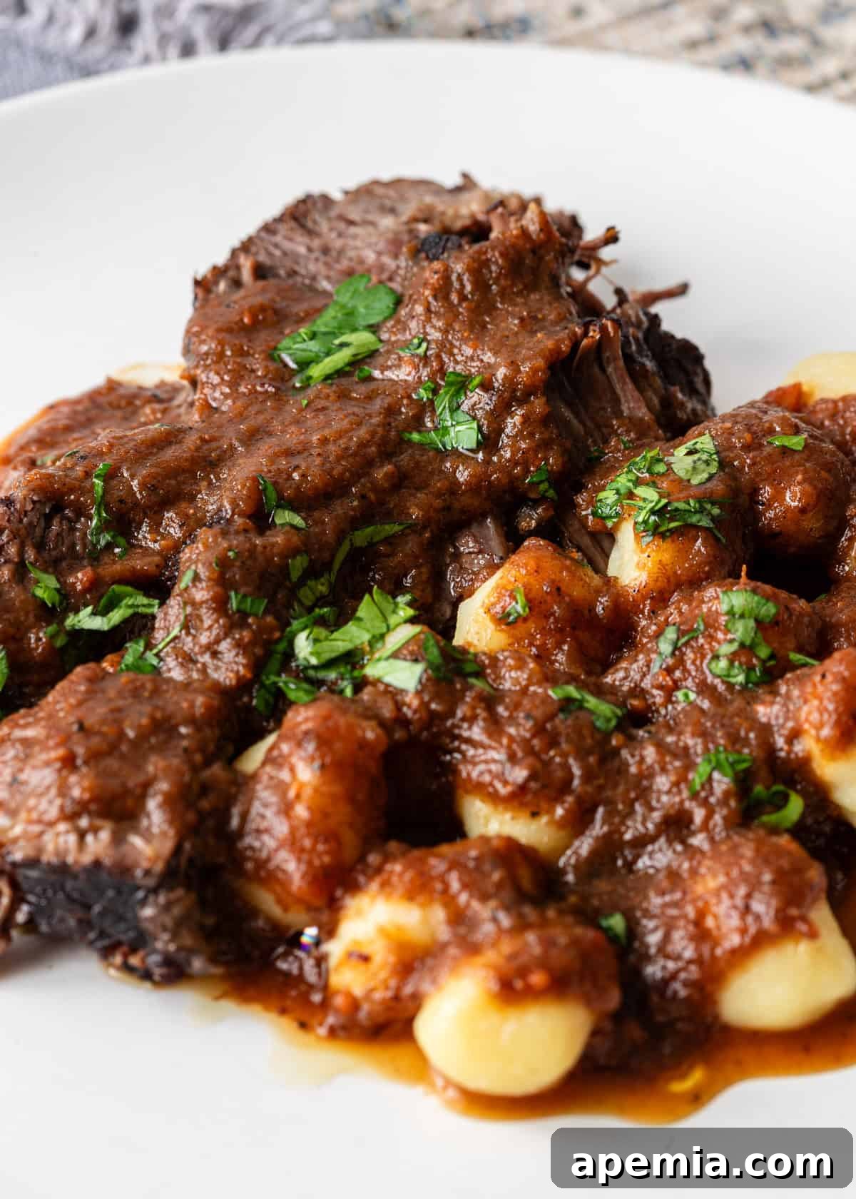 closeup: braised beef stew on white plate