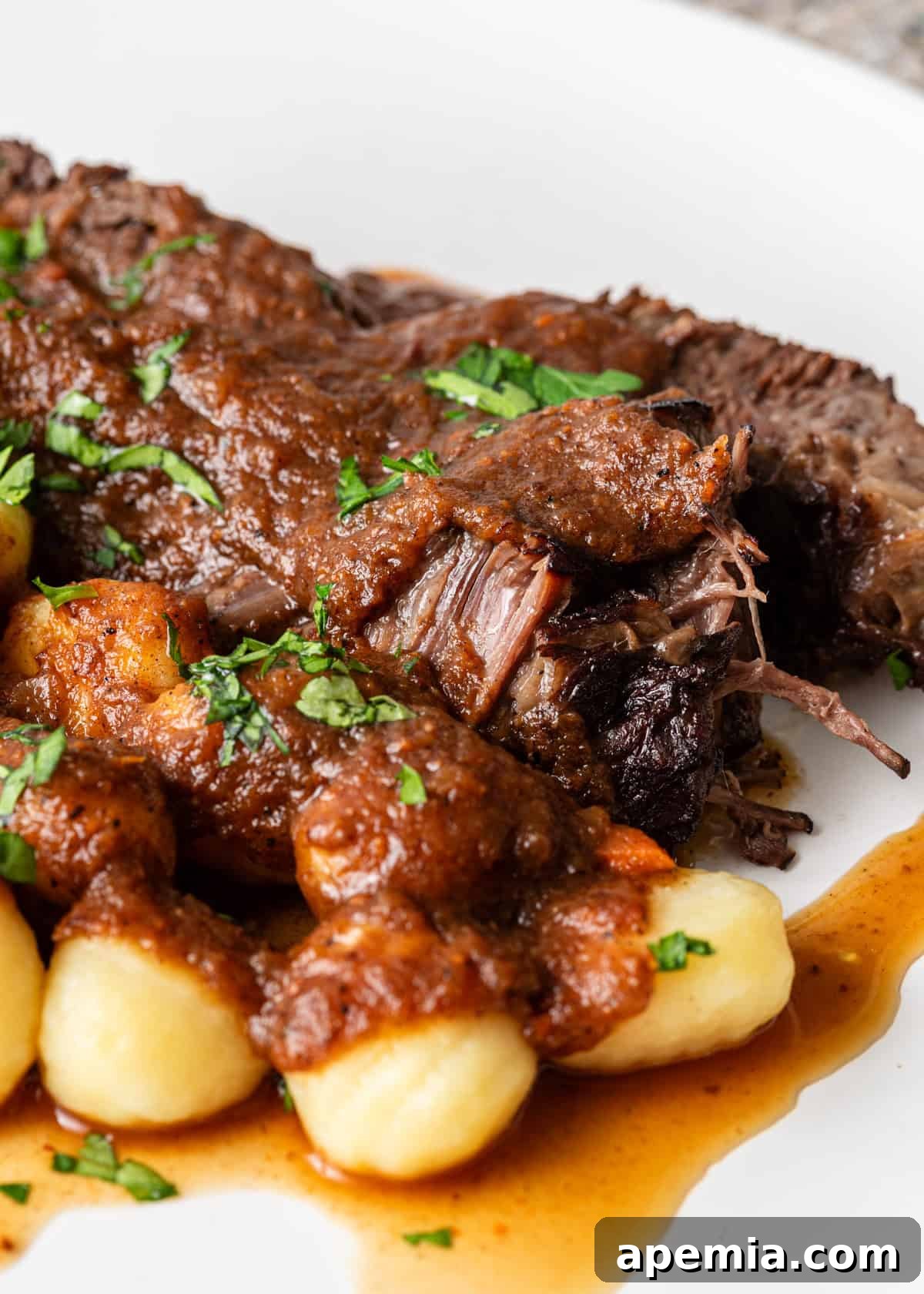 closeup side view: croatian beef stew on white plate
