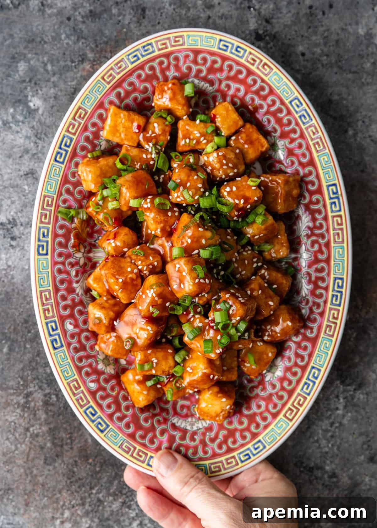 overhead: hand holding colorful platter with tofu stir fry topped with green onions ready to serve
