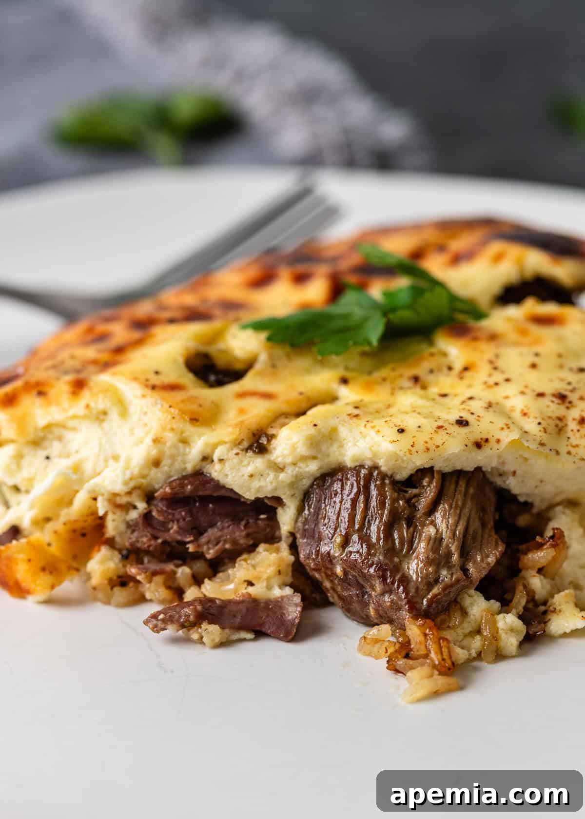 closeup side view: ready to eat albanian baked lamb on white plate