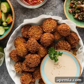 overhead image: dish of pan fried falafel