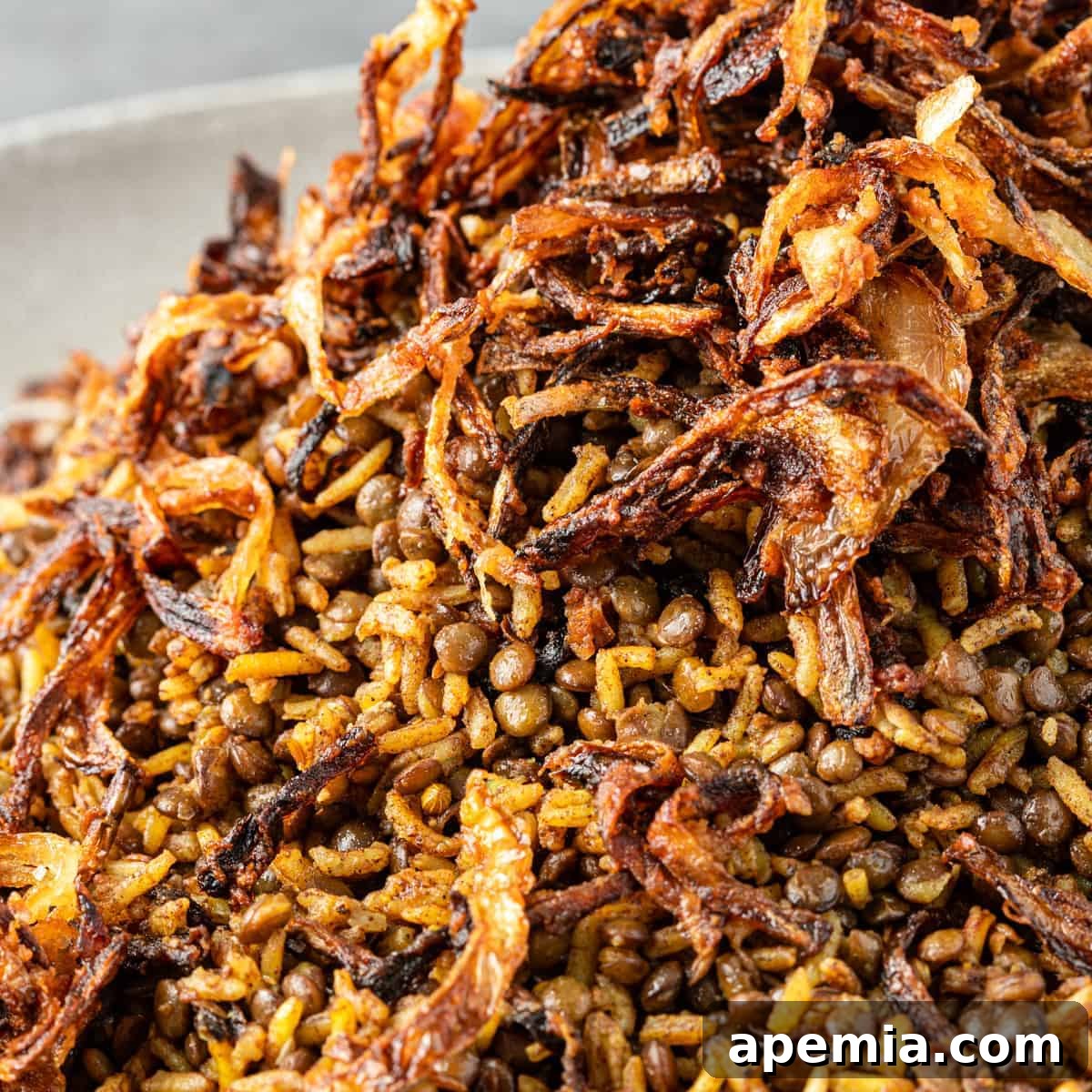 Close-up of a vibrant Middle Eastern Lentils and Rice Recipe - Mejadra, showcasing its rich texture and spices.