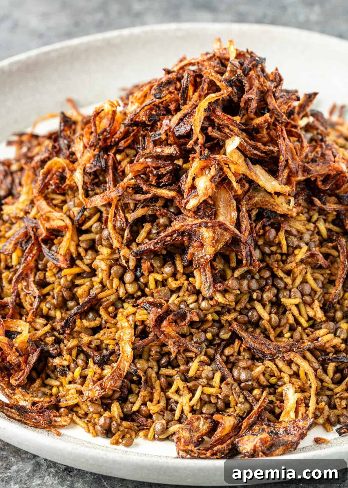A generously piled plate of mejadra, showing the fluffy rice and lentils crowned with golden crispy onions.