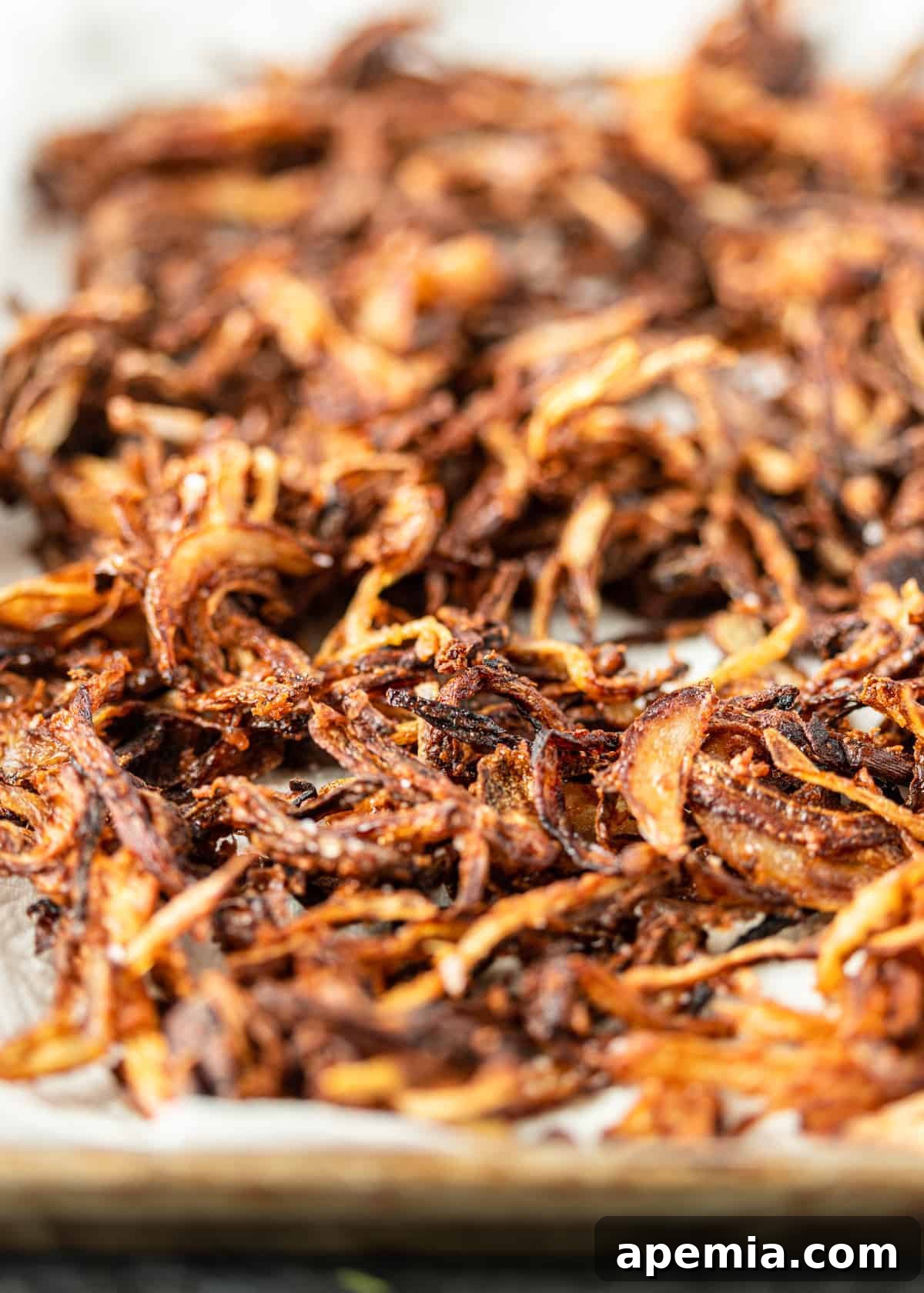 Close-up image of beautifully golden and crispy fried onions, a key topping for Mujadara.