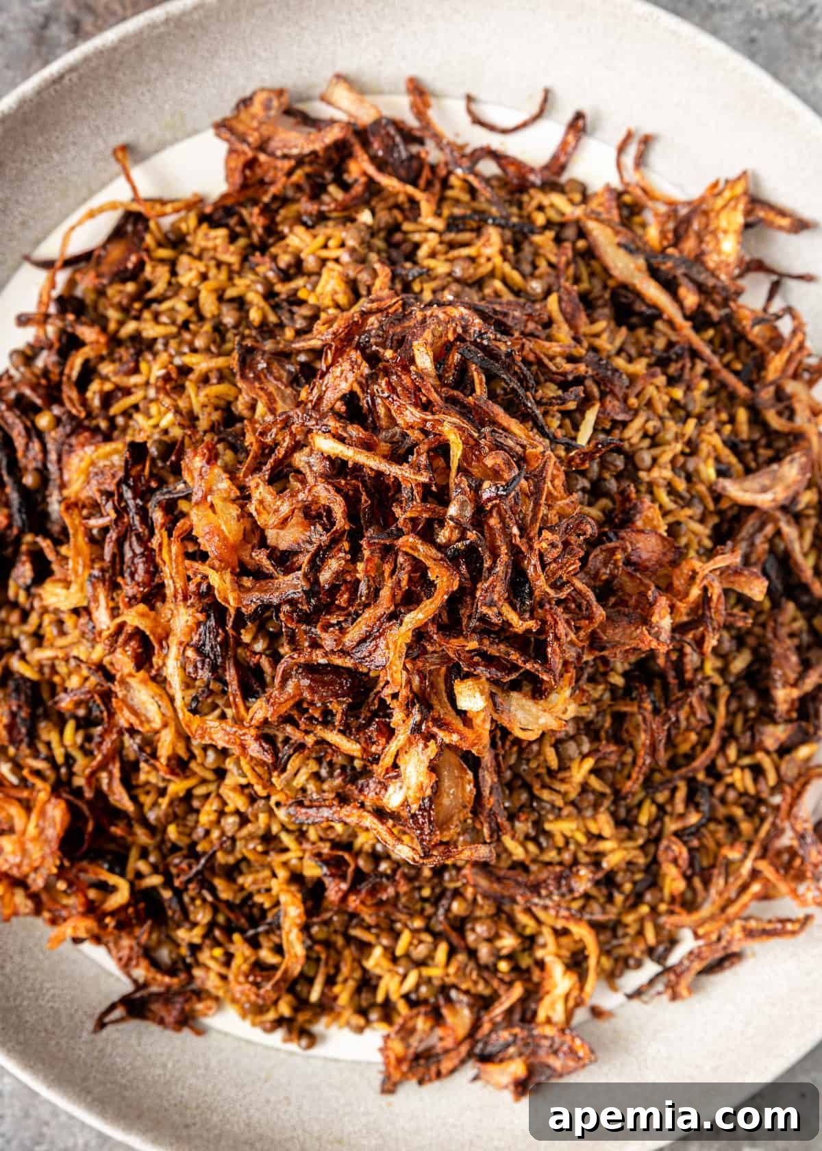 Overhead shot of a plate of mujadara generously topped with crispy onions, ready for serving.