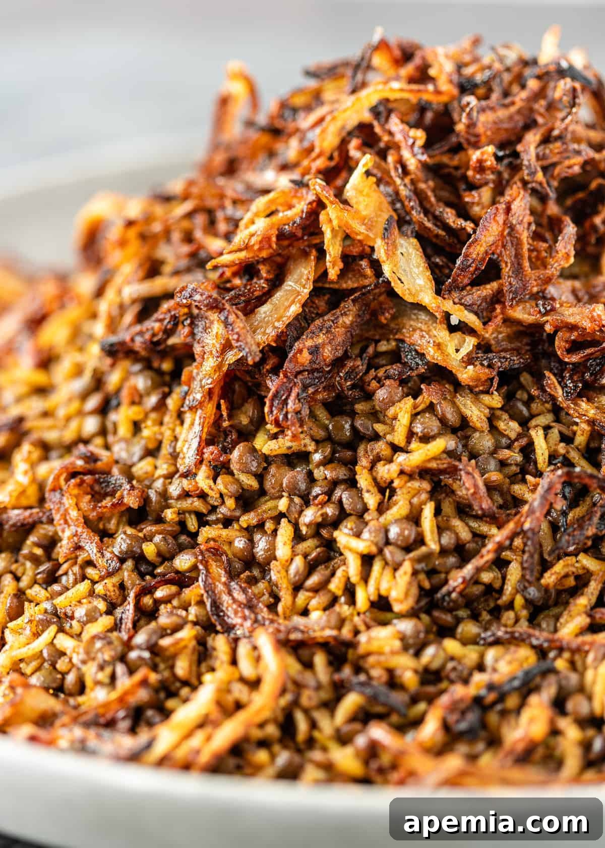 Close-up of a plate of mujadara with crispy onions, emphasizing the textures and garnishes.