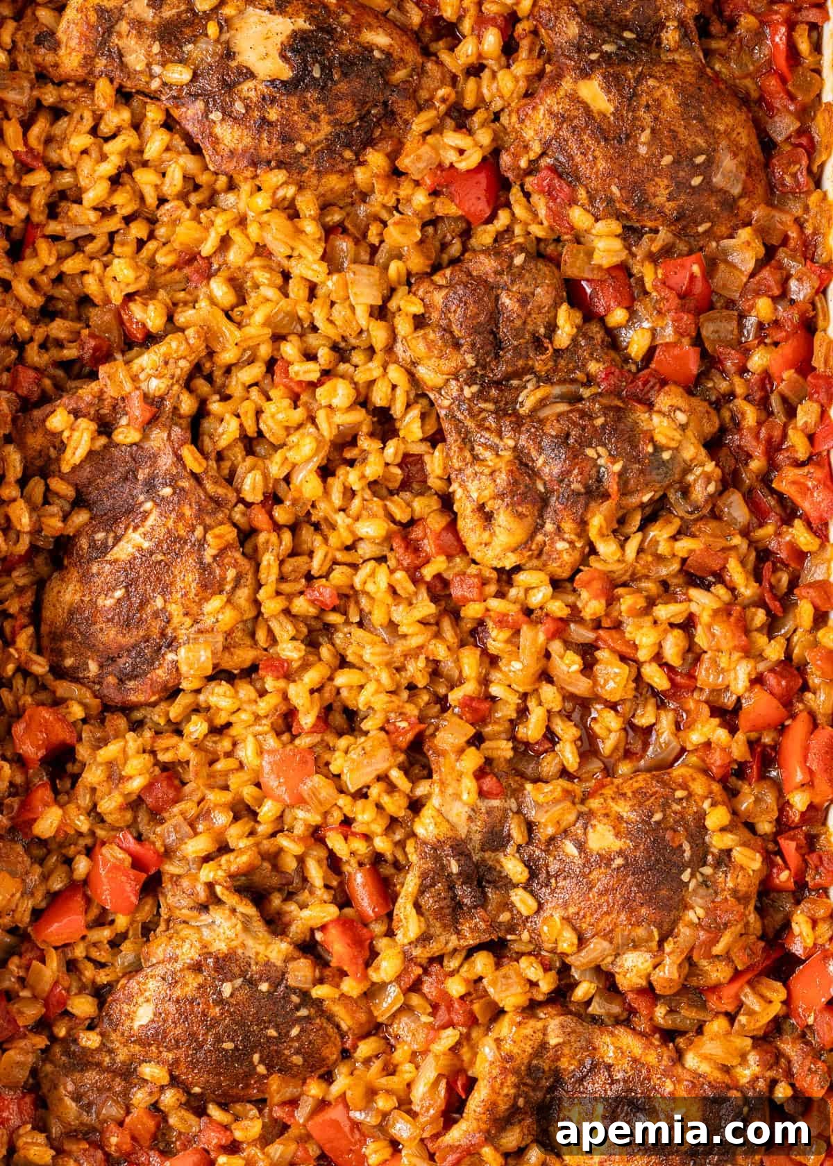 Overhead view of Moroccan smothered chicken thighs nestled into grains of pearled barley