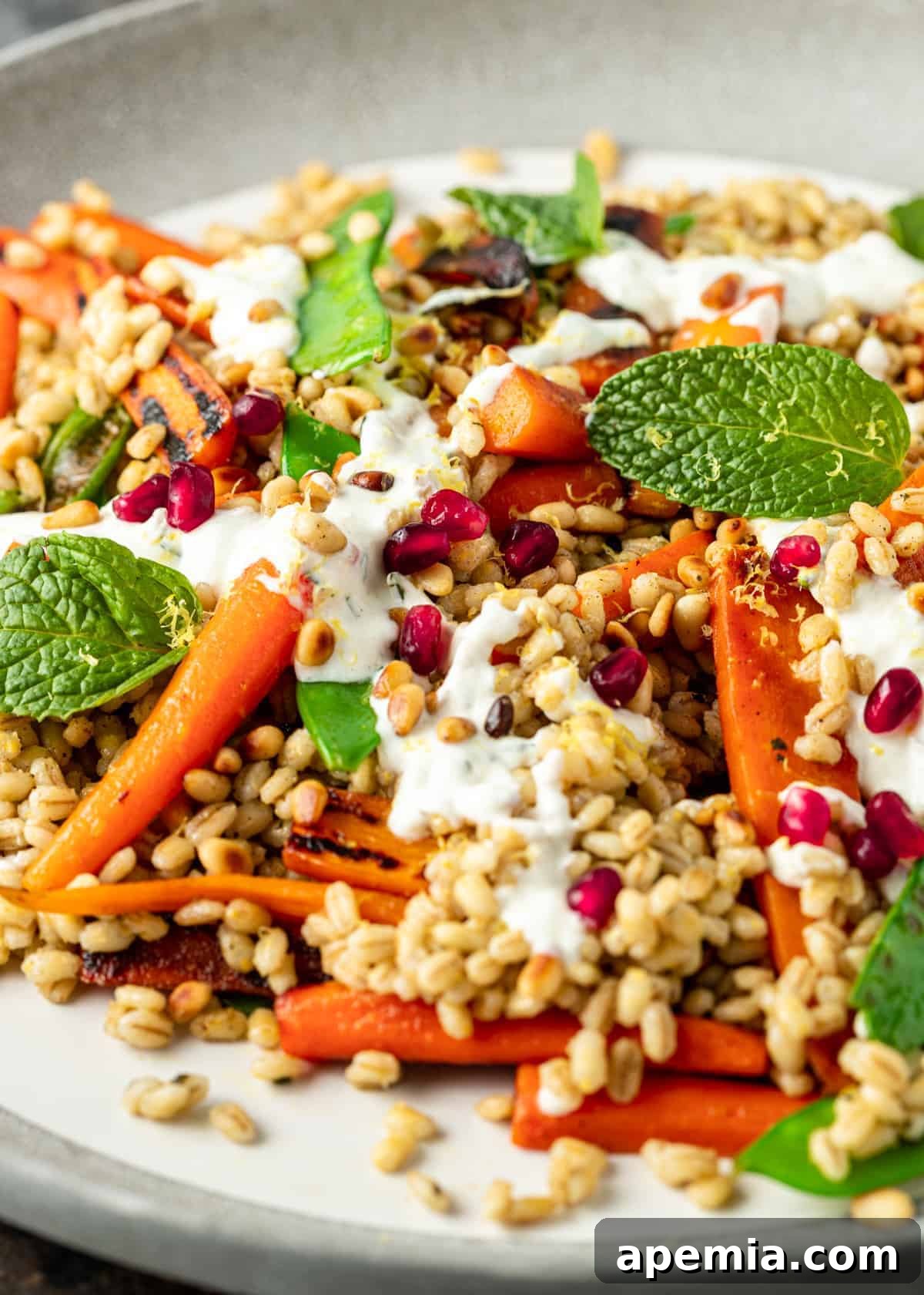 Mediterranean barley salad with grilled carrots pomegranate arils and creamy yogurt sauce