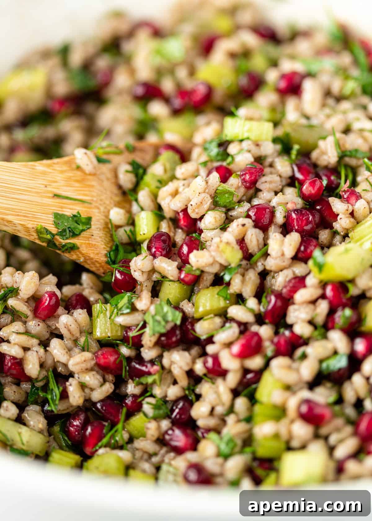 closeup: heart healthy salad with pearl barley and pomegranate