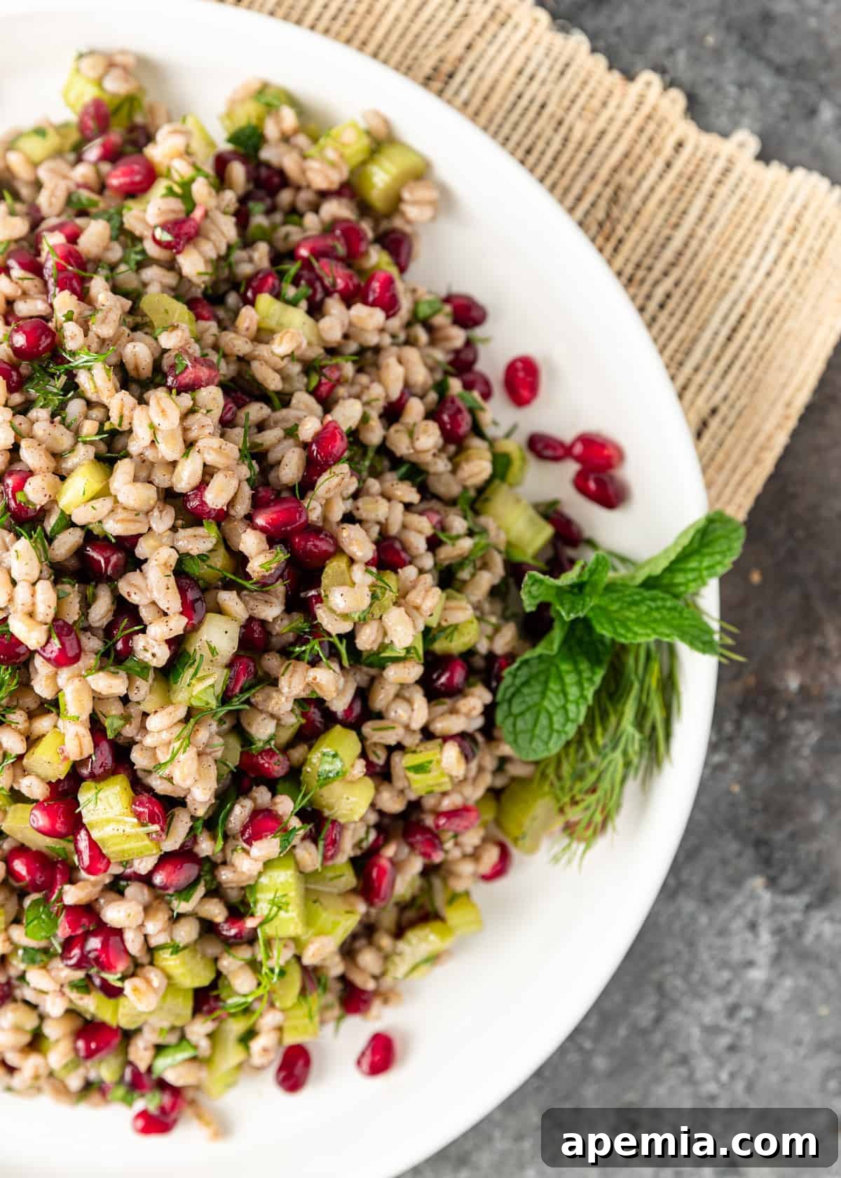 overhead: Egyptian barley salad with pomegranate seeds and chopped celery on a white plate