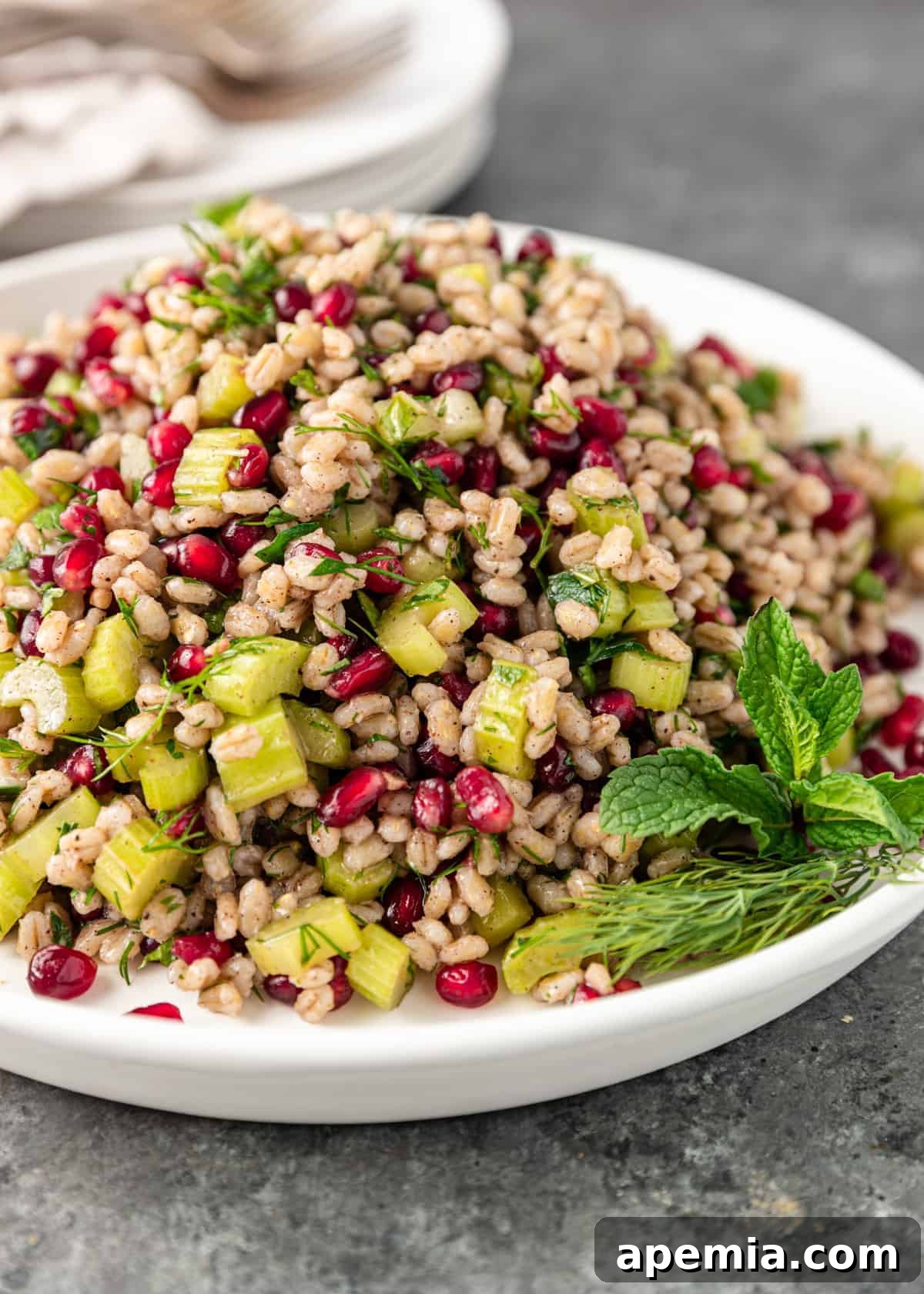 closeup: pomegranate barley salad on a white plate