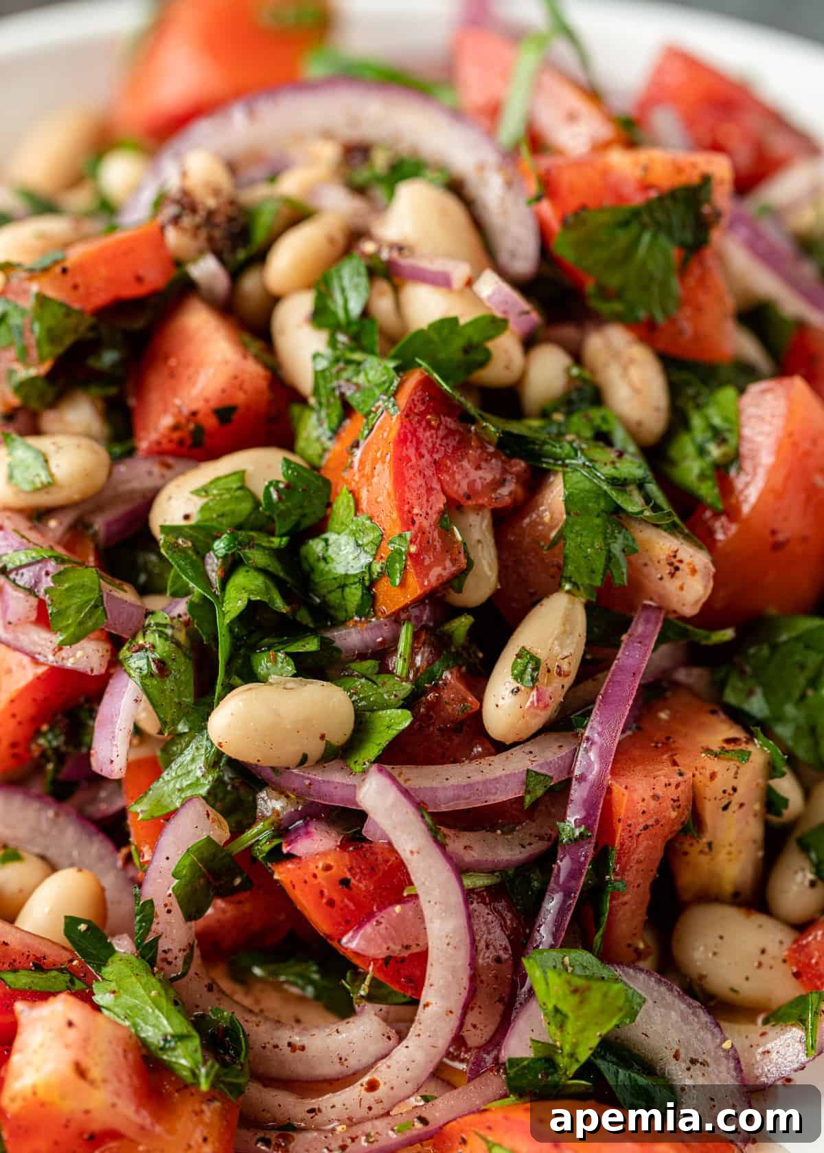 Extreme close-up shot of Turkish White Bean Salad (Piyaz), showcasing the creamy white beans, bright red tomatoes, thinly sliced red onion, and fresh Italian parsley, all glistening with a flavorful dressing and sprinkled with spices.