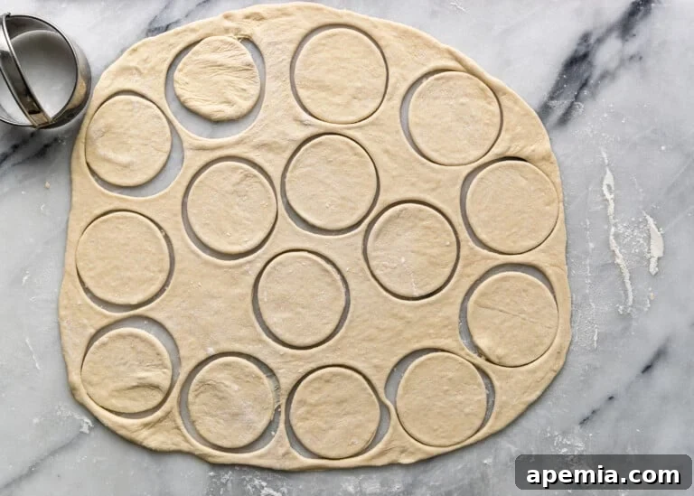 overhead: precisely cut out circles from dough, ready for filling