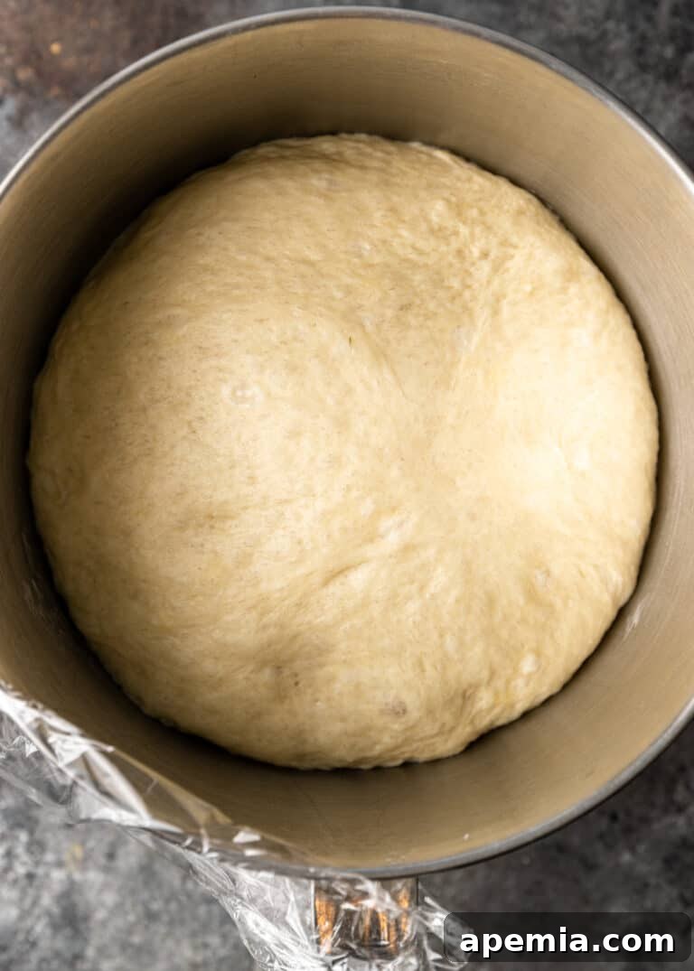ball of bread dough rising in mixing bowl for manakeesh recipe