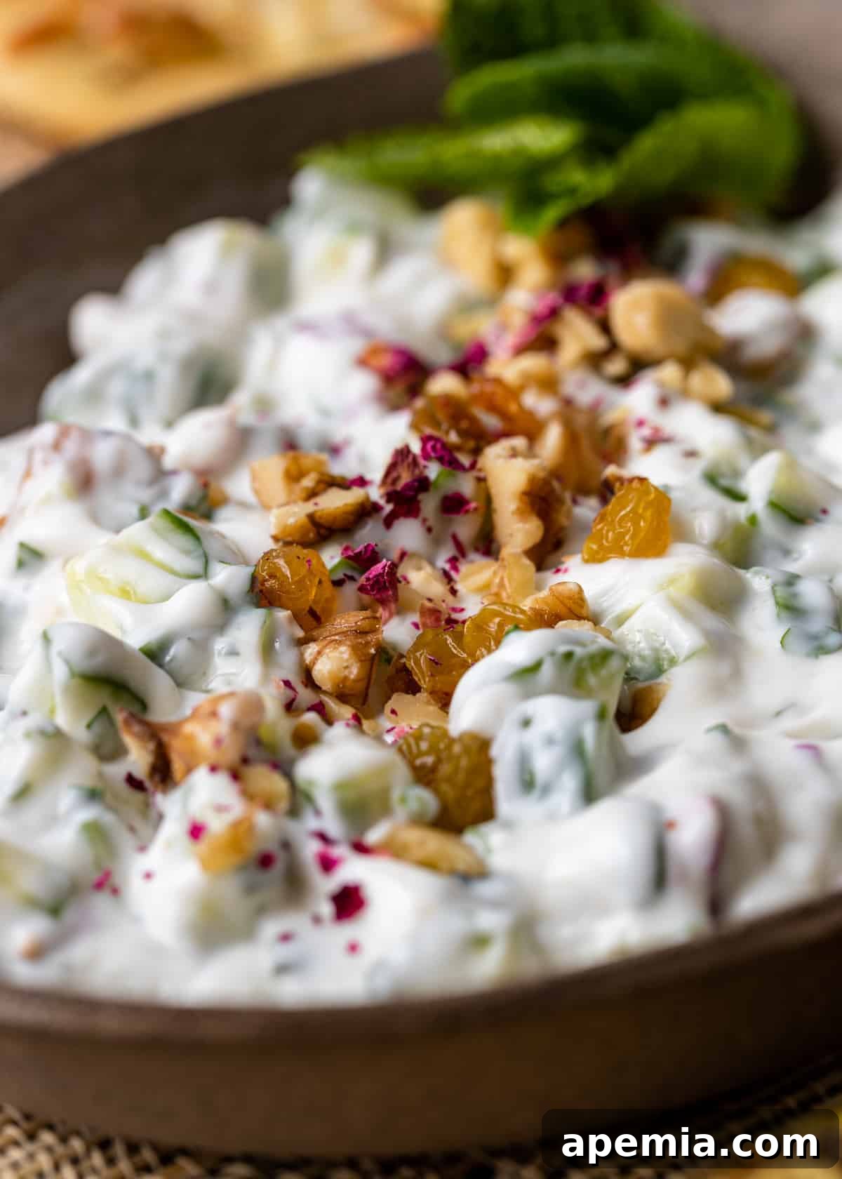 Refreshing Persian Mast O Khiar Cucumber Yogurt 5 closeup: diced cucumbers in creamy yogurt sauce with walnuts