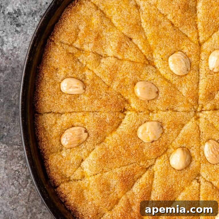 Egyptian Basbousa Golden Semolina Bliss 2 Overhead view of golden Basbousa cake, beautifully cut and topped with blanched Marcona almonds, ready to be served.